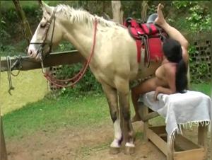 Cavallo sbatte Milly