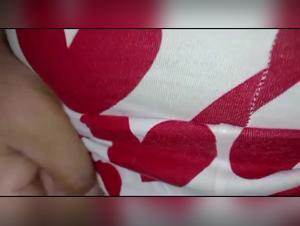 zoo art and ethical boundaries