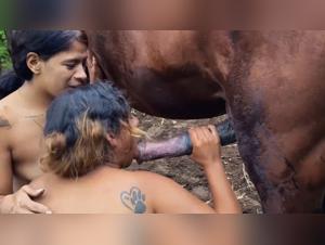 Horse Fuck Compilation: Women Going Wild