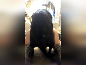 Bestiality Pornography: Sex With Dog Erotic Slut Dog Porn