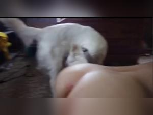 Hure mit Hund Teil 1
