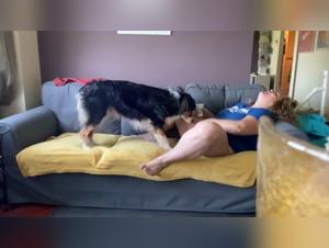 Bestiality: A woman alone at home discovers the pleasures of zoophilia