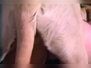 Video of Sex with a Dog
