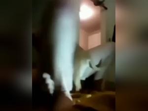 Bestiality sex: A shocking love story with a dog