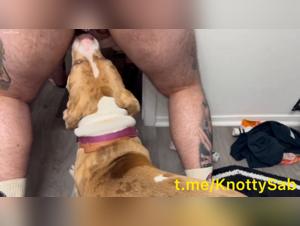 LGBT, my dog licks me