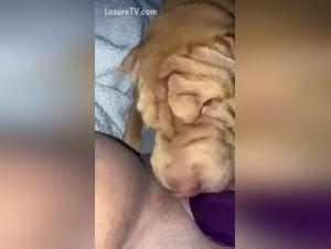 Bestial video: Submissive woman and her dog