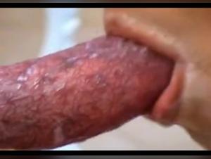 bestiality gay beastiality