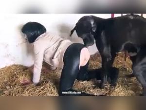 Ariel and Tommy Arotofzoo - An unforgettable bestial encounter