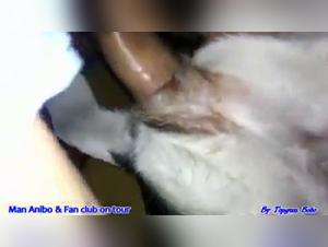 Chat fouette la salope dans lilp - dogcumpart3