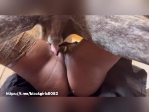 Bestial sex with my dog: intense passion