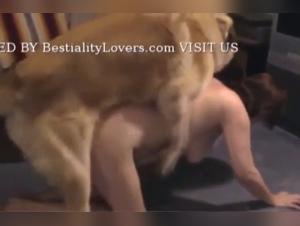 Perro anale con una chica