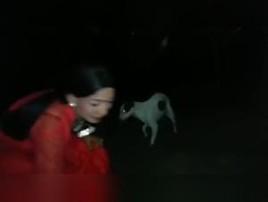 travesti anal perro tabu