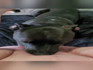 A lucky mom and her dog