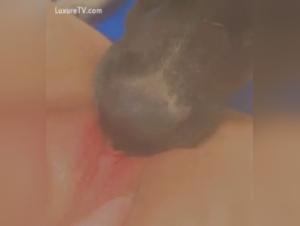 Woman and dog: a forbidden love story