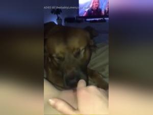 Chien léche une fille nue