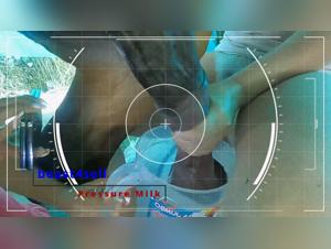 Forbidden Explorations: Zoohamster & Girl And Dog