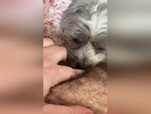 my wife licks our dog