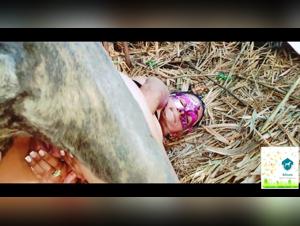 Animalsexfun Taboo: Alison Prod e il Suo Dog Deepthroat - Bestiality Action