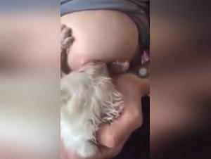 Bestial video: a dog and her master