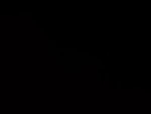 Zoophilia video: a plump woman and a dog