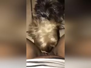 Vidéo de zoophilie : une femme et son chien dans une relation extrême