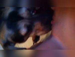 Woman and dog: a shocking encounter