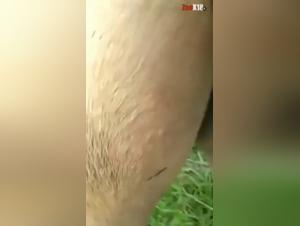 Extreme fisting porn with a young mare