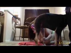 Video of Sex with a Dog