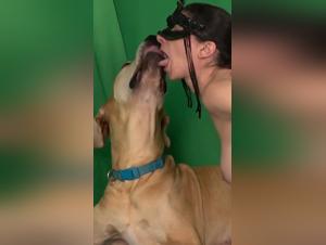 Wild Love of Dog Breeders: Hardcore Sex with a French Great Dane