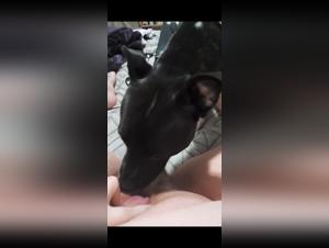 Bestiality sex video: a woman and her dog