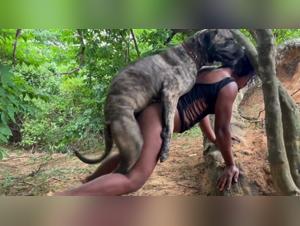 encounter with an animal