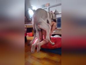 Hardcore Bestiality Videos - Access Exclusive Resources