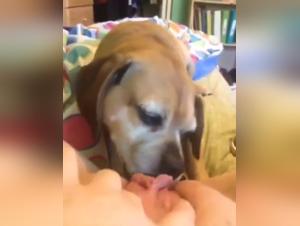 Man's Best Friend: A Shocking True Story