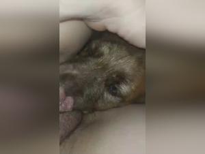 Bestiality sex: an exciting experience from the morning