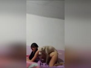 Horsecock Brut : Bestialité Dévoilée - Beastiality Intense