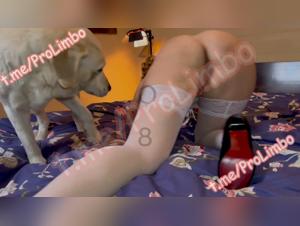 dog knot girl : Unveiled Desires