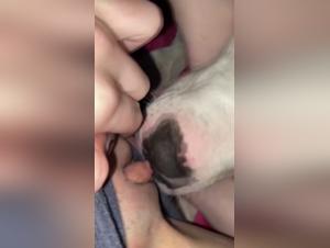 Hunde-Sex: Schlampe vom Hund gefickt