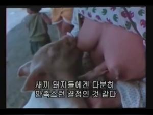 Feeding a dog with breast milk: a shocking scene of zoophilia