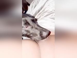 Beastiality Passion: Sex with Women Sluts and Dogs