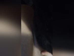 A girl gets screwed by a dog