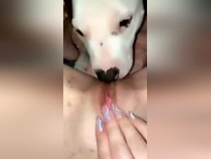 Dog licks a woman - Zoophilia video