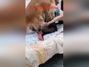 Chinese BBW Dog Fuck Hardcore