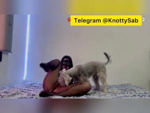 USA Zoophile: She sucks her little dog