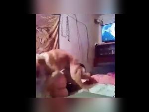 Bestiality sex with Andi and her dog