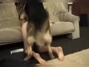 German Shepherd fucks woman, big cock