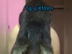Dog Bangs Woman Live