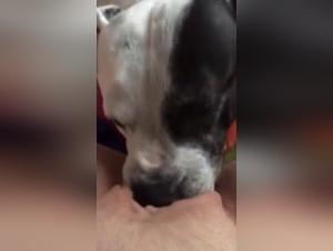 Bestial encounter: woman and dog