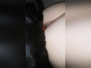 A Dog Fucks an Asian Woman