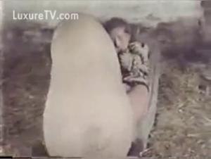 Woman and pig: a bestial encounter