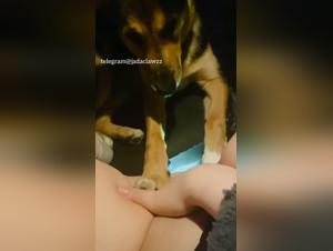 Dog Licks Mistress: Homemade Zoo